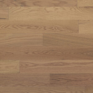 chenerouge_onzo-v2v24.25-1024x484